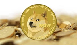 Did Aziz McMahon really quit Goldman Sachs after making millions from Dogecoin?
